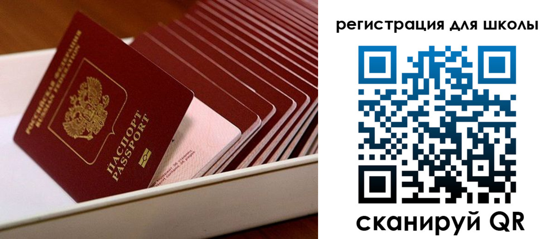прописка гарантия в Воронеже